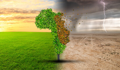 Climate change from drought to green growth. 3d render, 3d illustration