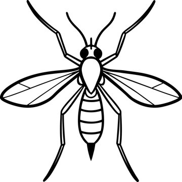 recommend clip art: Simple Mosquito Outline Vector Drawing Isolated on White