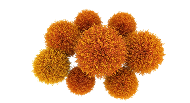Cluster of orange and yellow fluffy spherical objects