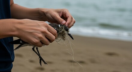 Rescuer carefully untangles fishing line from small bird on beach, ocean background