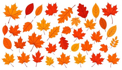 Fototapeta premium Autumn leaves collection (2)