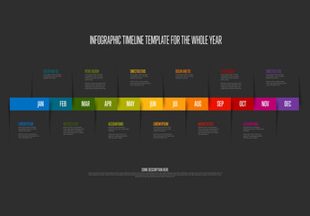 Full Year Infographic Timeline Template for Project Planning