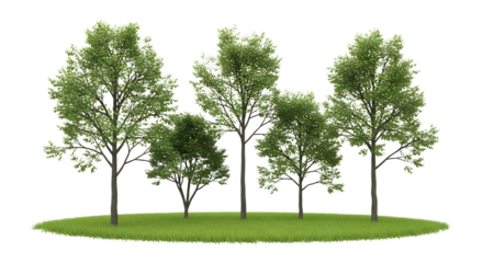 Group of Green Leafy Trees on Grass Isolated Keywords: trees, green, leafy, grass, nature