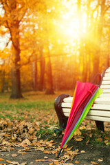 Colorful rainbow umbrella in park, autumn season nature on sunset with sun beams