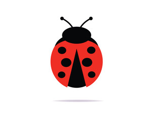 Fototapeta premium ladybug on white background