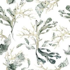 Watercolor seamless pattern with sea life – starfish, shells, octopus, corals, and seaweed. Ideal for textiles, wallpaper, beach and tropical designs, coastal interiors, and nautical decoration