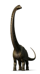 Obraz premium A majestic illustration of a Brachiosaurus, a gentle giant, standing tall with its long neck reaching high