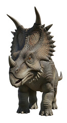 Fototapeta premium A detailed and realistic portrayal of a Centrosaurus dinosaur, captured in a frontal shot, exhibiting intricate skin textures and the iconic bony frill and horns.