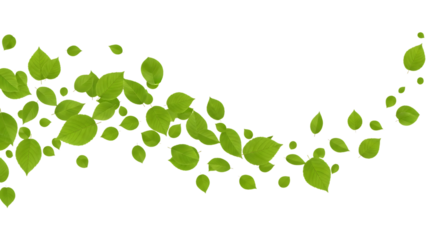 Swirling Green Leaves on Transparent Background flowing