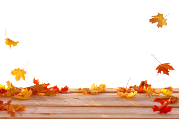 Autumn maple leaves on wooden table. Autumn Product podium isolated