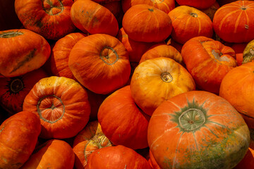 A pile of multi-colored ornamental pumpkins