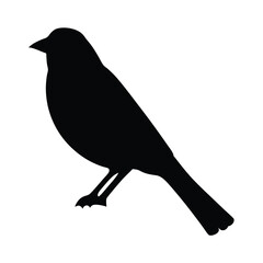Silhouette of a small bird perched wildlife vector illustration avian species birdwatching ornithology