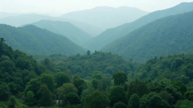 Aerial. lush green forest with a mountain range in the background