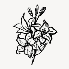 Fototapeta na wymiar Black lilies line art, simple graphic illustration