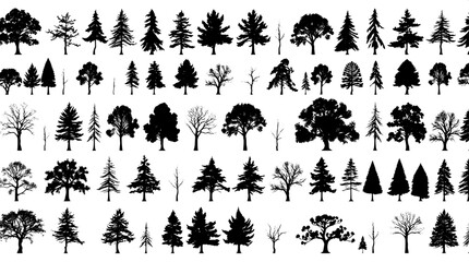 Scientific illustration of tree silhouettes, black forms arranged in precise rows on a pristine white canvas, with a focus on delicate outlines and varied species shapes, showcasing a range of foliage