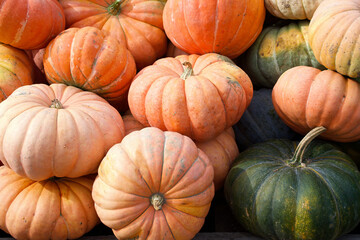 Pumpkins of various sizes and colors,including orange, pale yellow and green