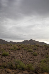 Sonoran Desert Mountains Under Storm Clouds, Scottsdale, Arizona Landscape vertical photo