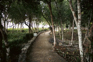 A serene path winding through lush greenery in a tranquil outdoor setting.