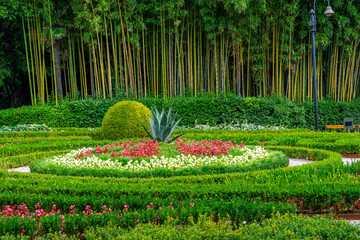 angiolina park plants and flowers beautiful setting gardening