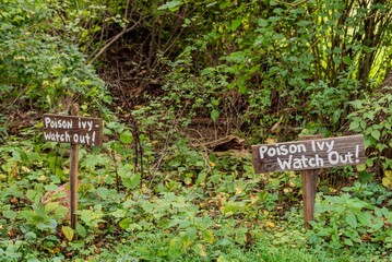 Poison Ivy, Watch Out! Cromwell Valley Park, MD