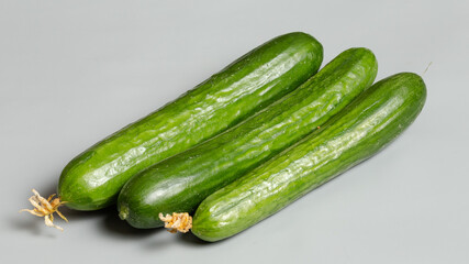 Cucumber isolated
