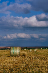 Round hay bales scattered across farmland in Saskatchewan, Canada, under a dramatic cloudy sky with...