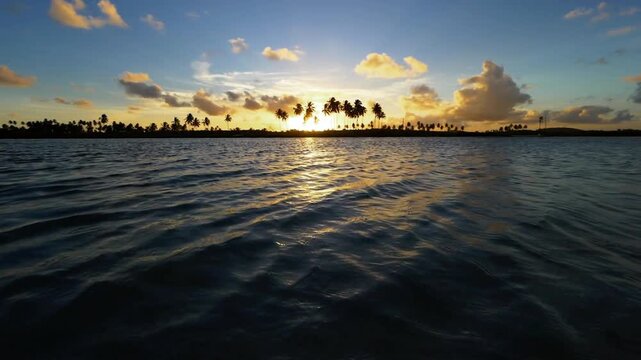 Silhouetted palm trees line the horizon at sunset over the ocean