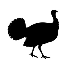 Turkey silhouette vector graphic for thanksgiving day design and holiday illustration project needs