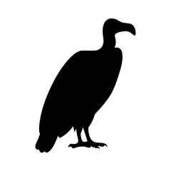 Vulture silhouette vector image for wildlife conservation projects and educational resources use freely