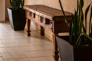 Stunning wooden bench framed with indoor plants, showcasing rustic appeal