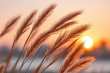 Backlit tall grasses sway gently in the warm glow of sunset, creating a serene atmosphere with soft hues and a tranquil ambiance of nature's beauty