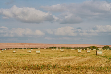 Round hay bales on farmland in Saskatchewan, Canada, with PotashCorp freight train cars and a large potash mine tailings pile in the background under dramatic cloudy sky.