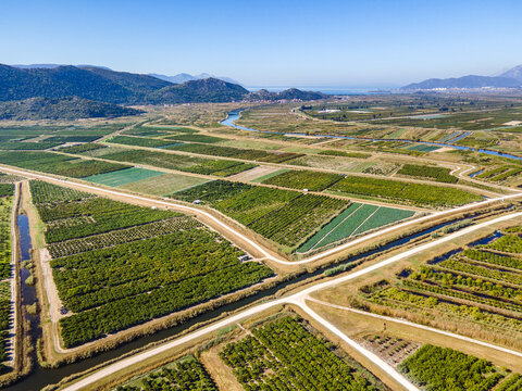 Aerial panoramic view of fertile Neretva Valley in southern Croatia showing irrigated orchards, rural roads, canal network