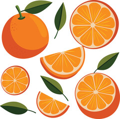 Assortment of Oranges and Orange Slices with Green Leaves citrus fruit