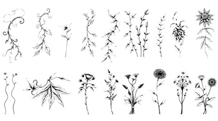 "Hand-drawn pen-and-ink botanical designs arranged in rows. The illustrations feature twisting vines, drooping leaves, and clustered plants, rendered with varied textures and shading on a white backdr