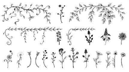 "Hand-drawn pen-and-ink botanical designs arranged in rows. The illustrations feature twisting vines, drooping leaves, and clustered plants, rendered with varied textures and shading on a white backdr
