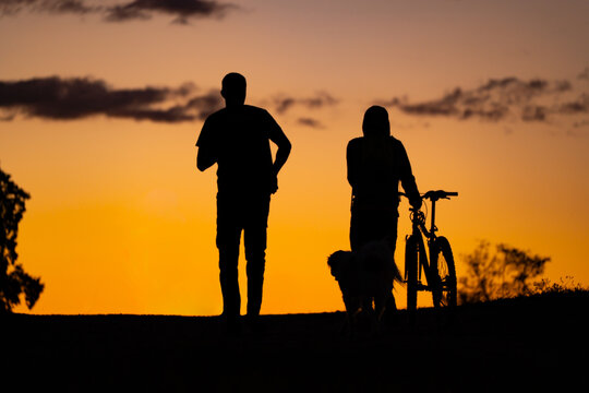 Amigos paseando en bicicleta al atardecer 