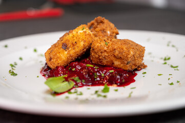 Crispy Fried Camembert Cheese with Sweet Cranberry Sauce on White Plate. Gourmet Appetizer Dish