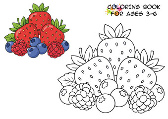 Colorful strawberries and raspberries for children's coloring book  