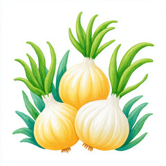  bulbous onions with their green shoots extending upwards., isolate on white background