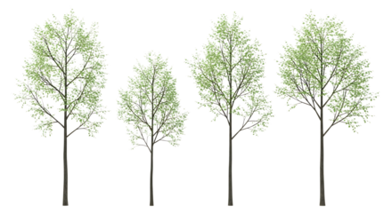 Four Stylized Trees with Green Foliage on Black Background