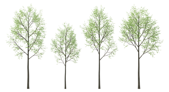 Four Stylized Trees with Green Foliage on Black Background