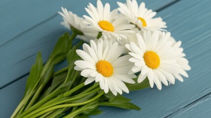 Obraz premium Freshly picked daisies resting on a rustic blue wooden surface