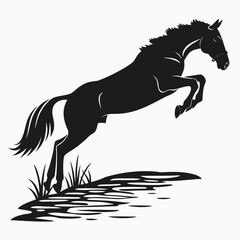 Horse jumping over water silhouette