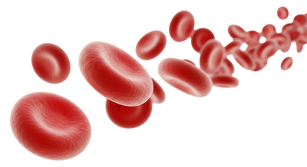 Red Blood Cells Flowing in a Stream on Black Background