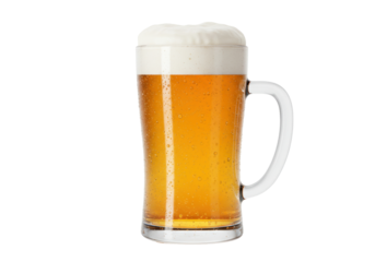 Isolated glass mug of frothy golden ale lager beer cold light clear close refreshment fresh