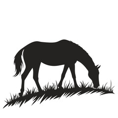 Horse grazing in pasture silhouette