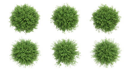 Six Green Spherical Objects with Leafy Texture image