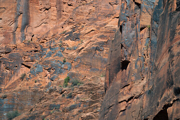 Textured sandstone formations reveal the intricate beauty of geological history.