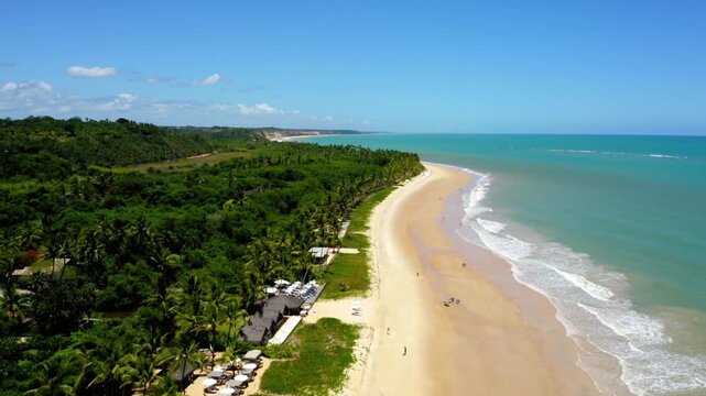 Aerial view of a beautiful tropical beach with palm trees and turquoise water